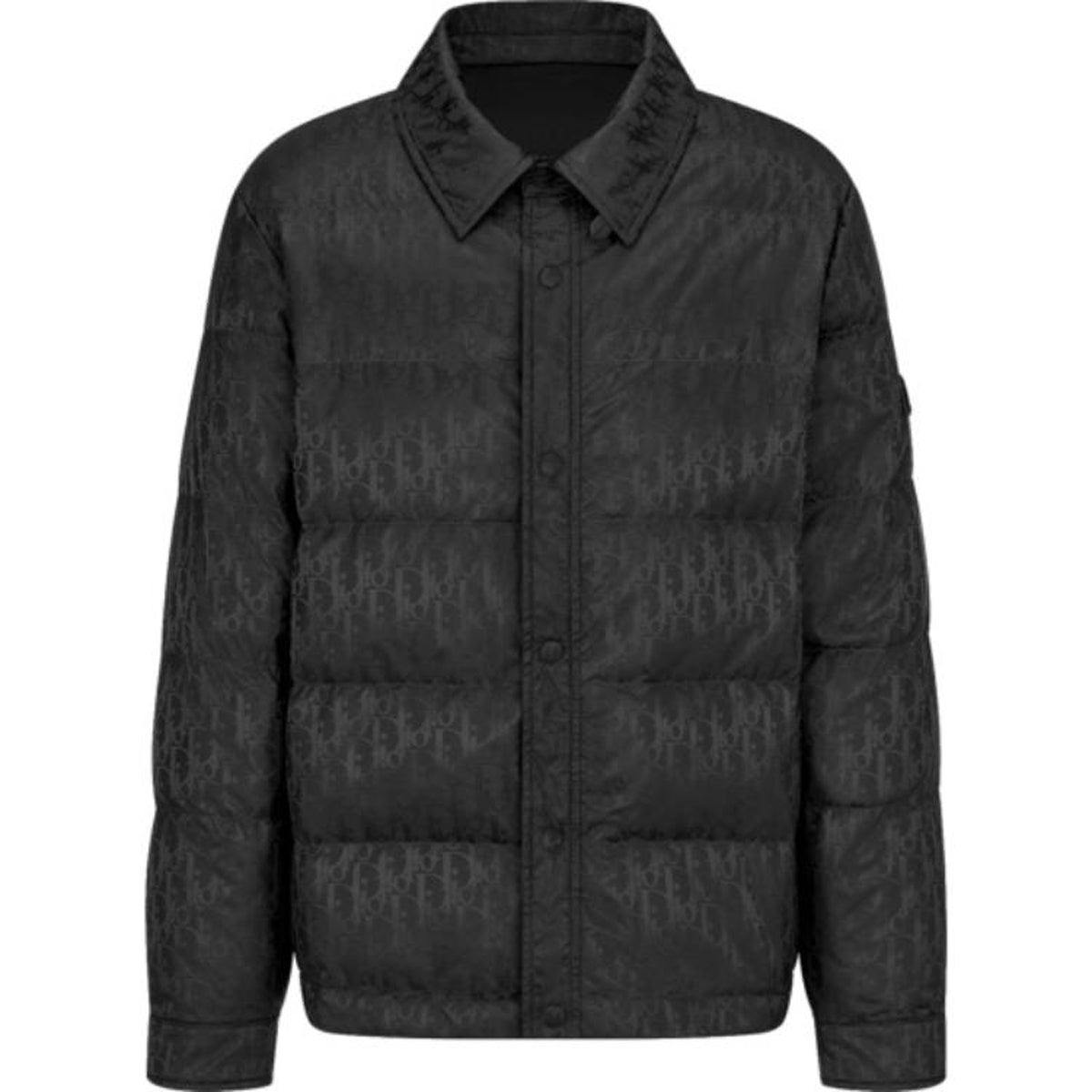 Dior SS22 Button-Front Down Jacket Black front view