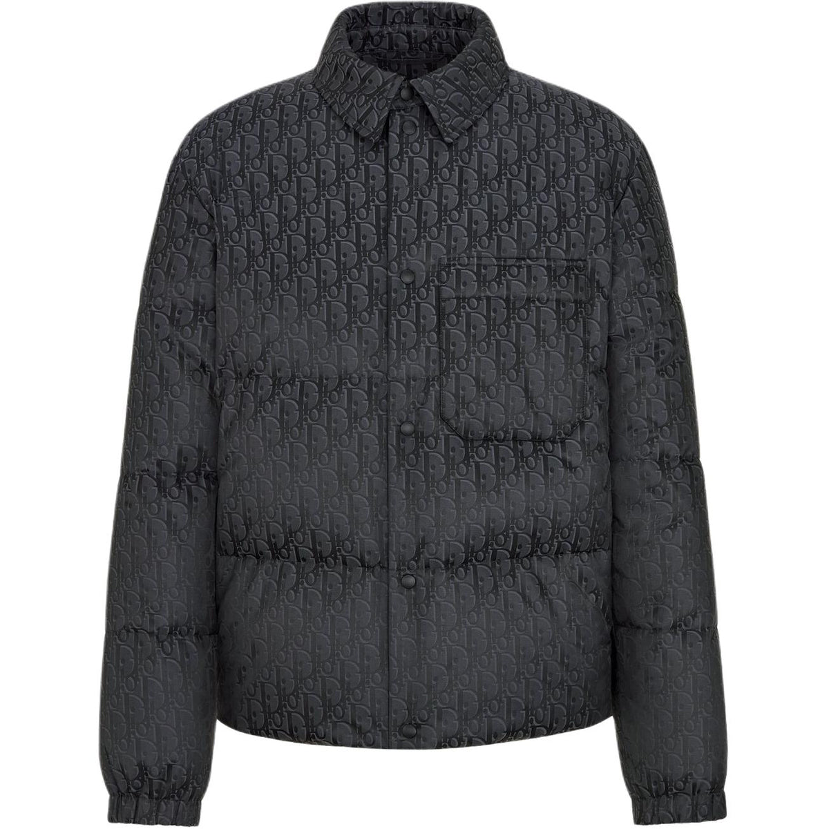 Dior SS26 Print Jacket front view