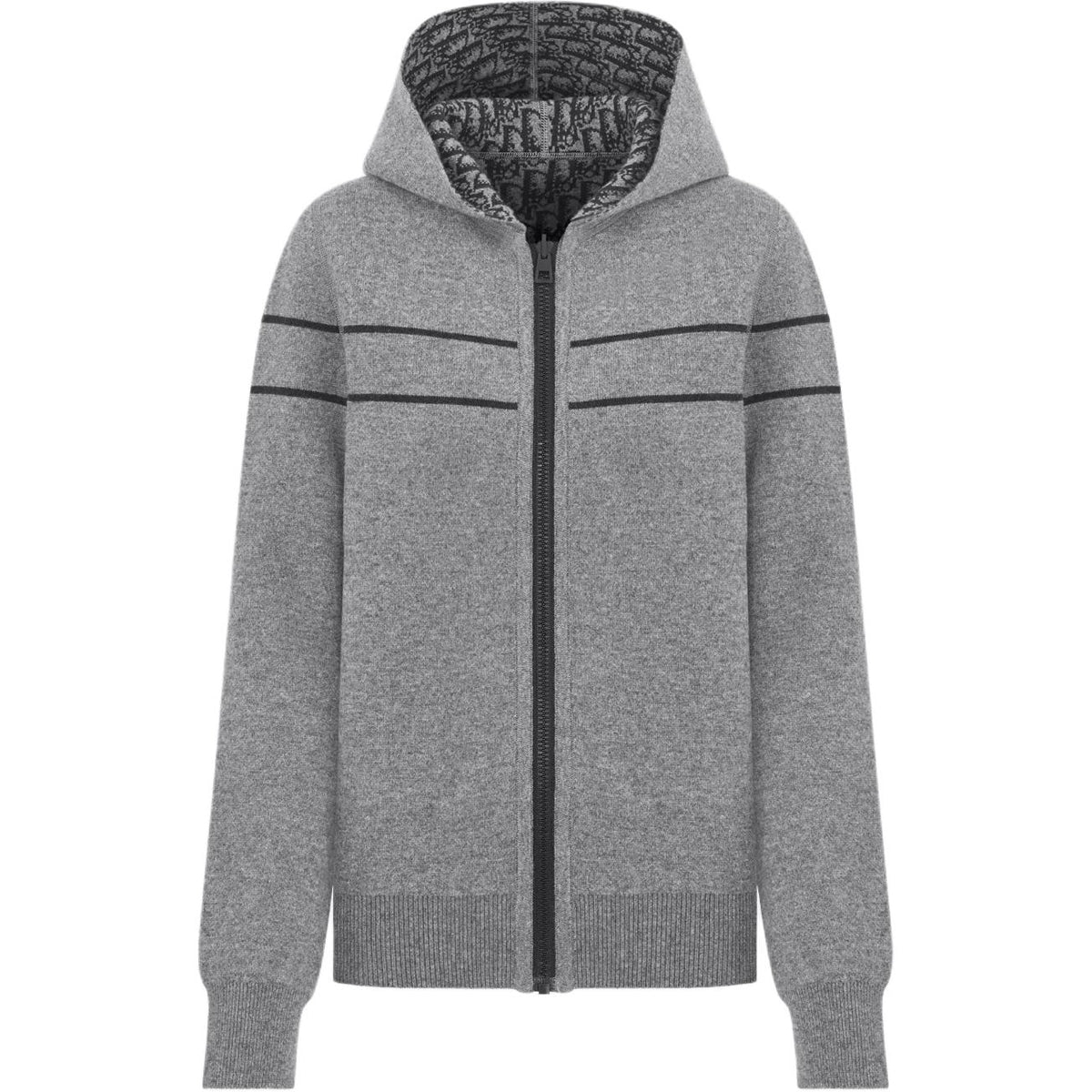 Dior FW25 Oblique Print Reversible Hooded Hoodie front view