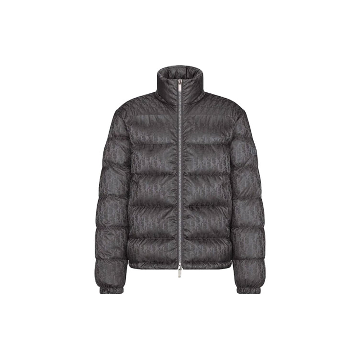 Dior Logo Stand-Collar Zip Down Jacket Gray front view