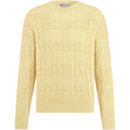 Dior Cannage Cable-Knit Knit Sweater Yellow front view