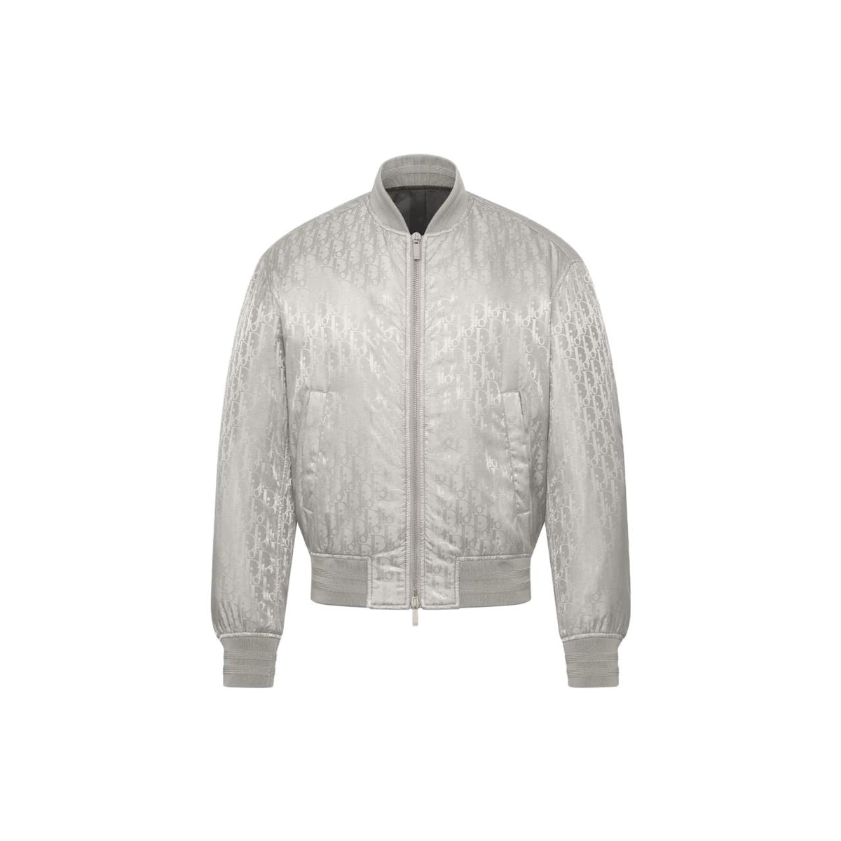 Dior FW23 Crew-Neck Zip Jacket Silver Gray front view