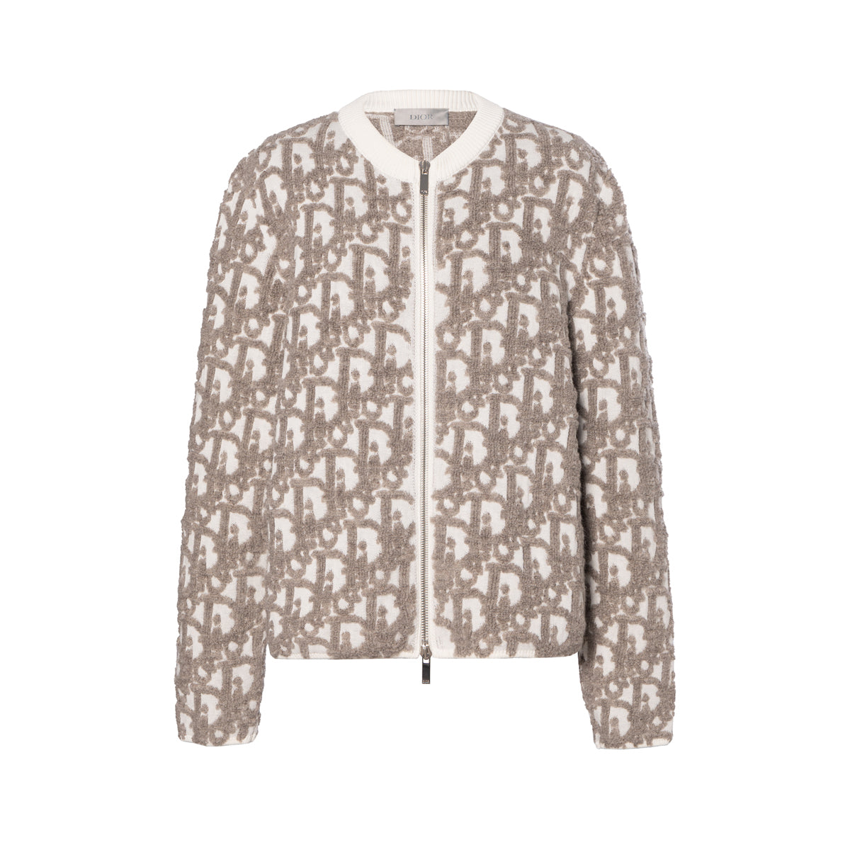 Dior FW25 Oblique Print Knit Sweater back view