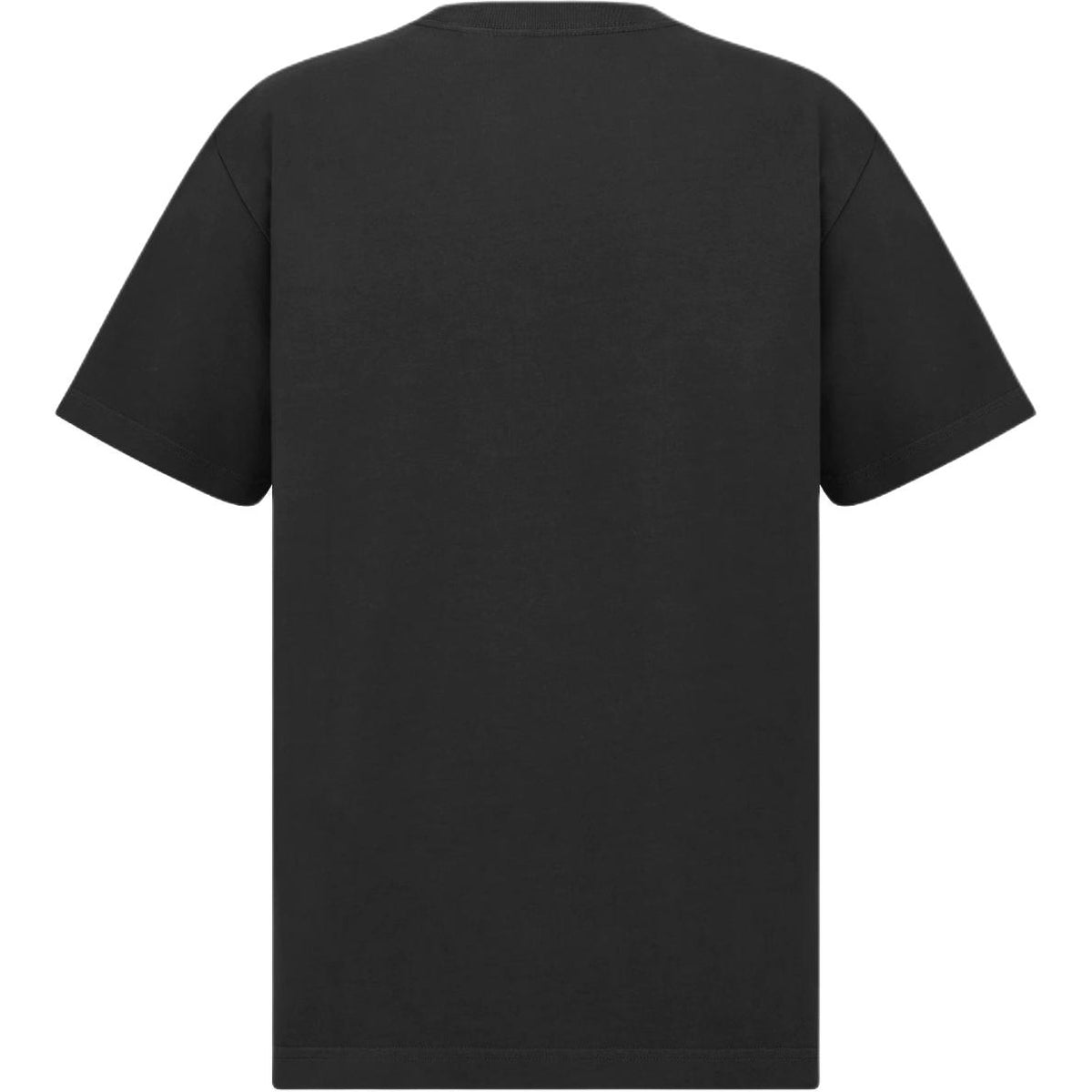Dior FW25 Lewis Hamilton Collaboration Relaxed-Fit T-Shirt back view