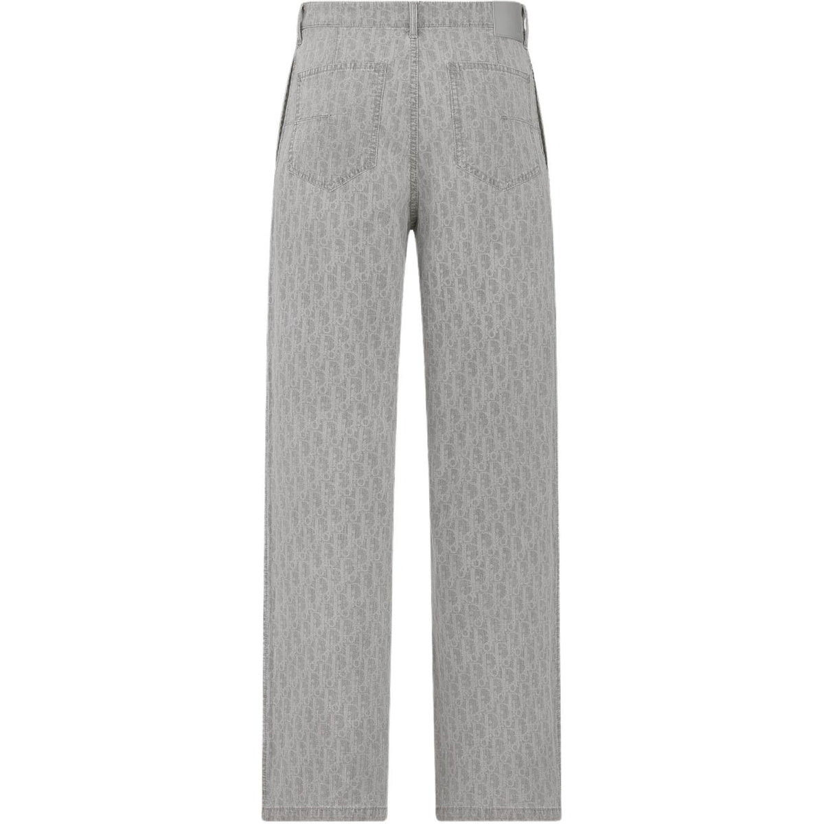 Dior SS25 Oblique Print Trousers Gray back view