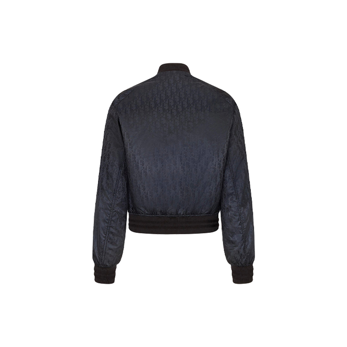 Dior Print Reversible Jacket Black back view
