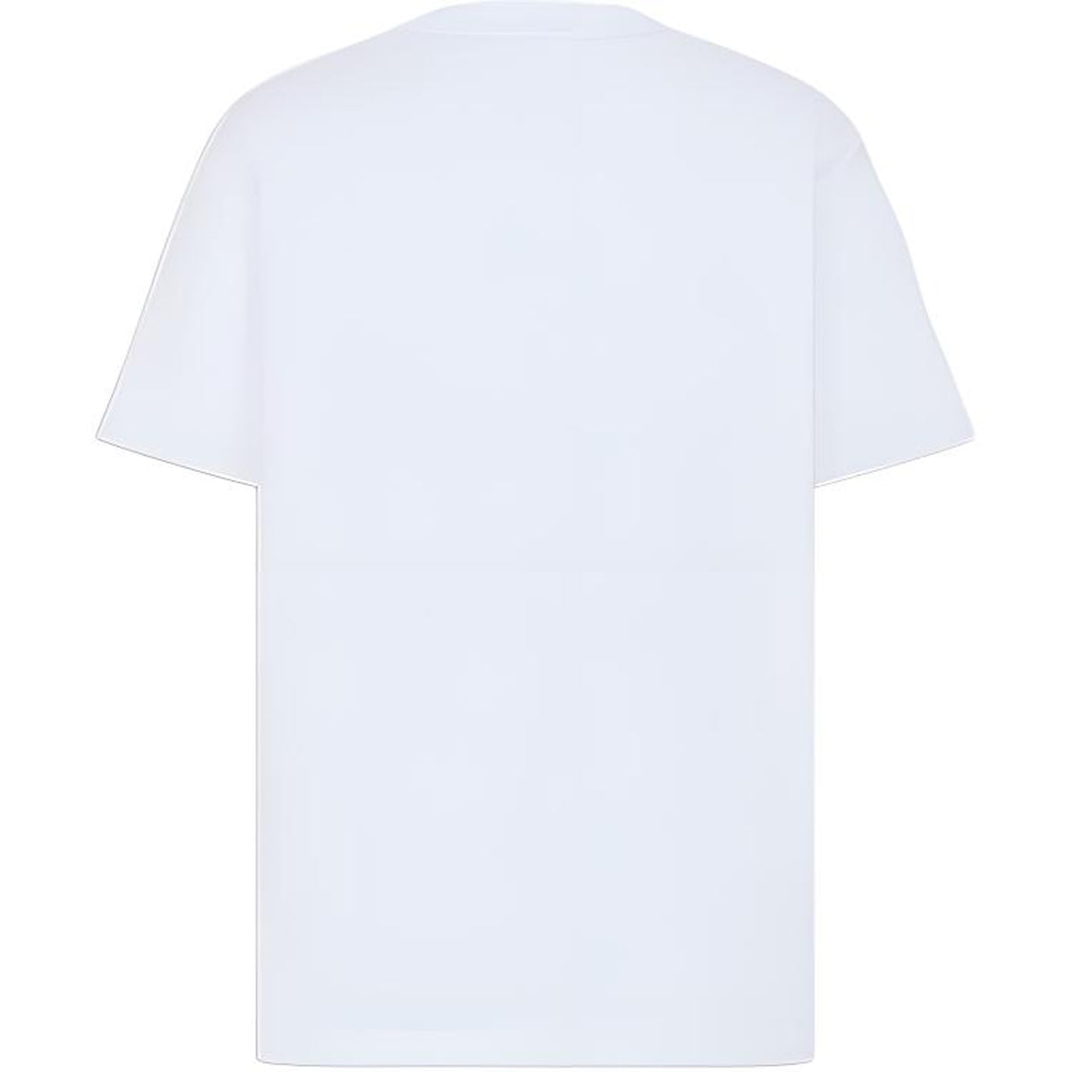 Dior FW25 Print Relaxed-Fit T-Shirt back view