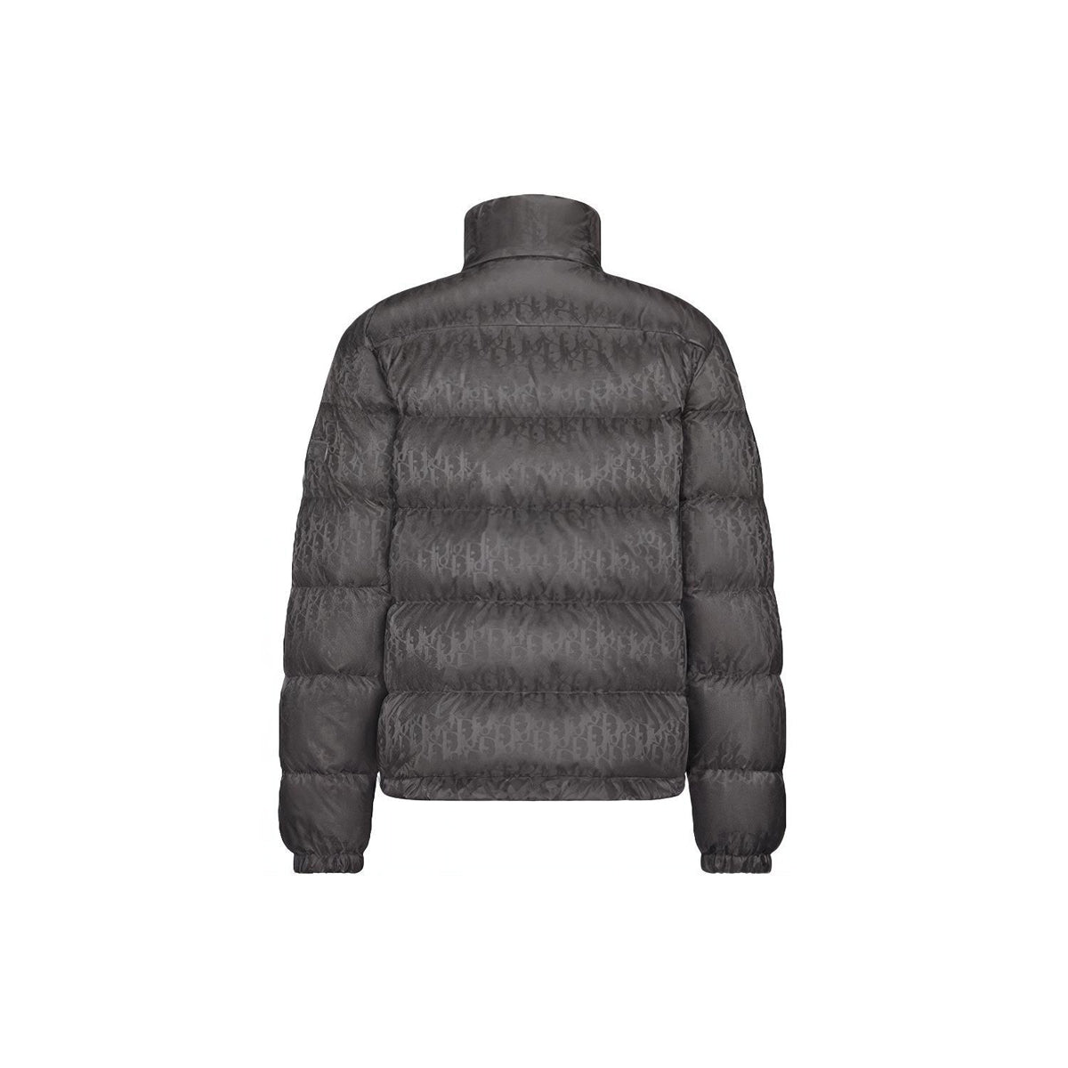 Dior Logo Stand-Collar Zip Down Jacket Gray back view
