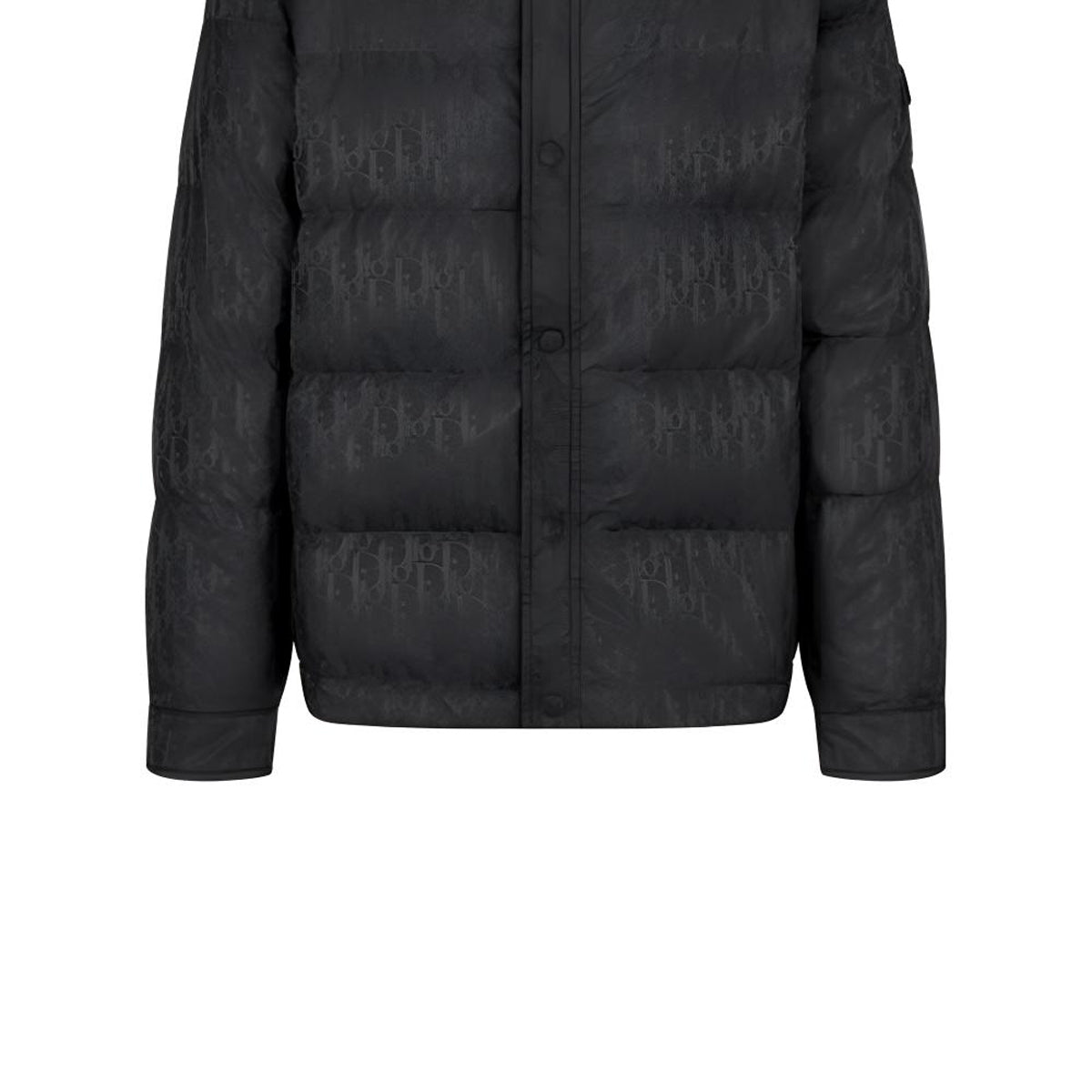 Dior SS22 Button-Front Down Jacket Black back view