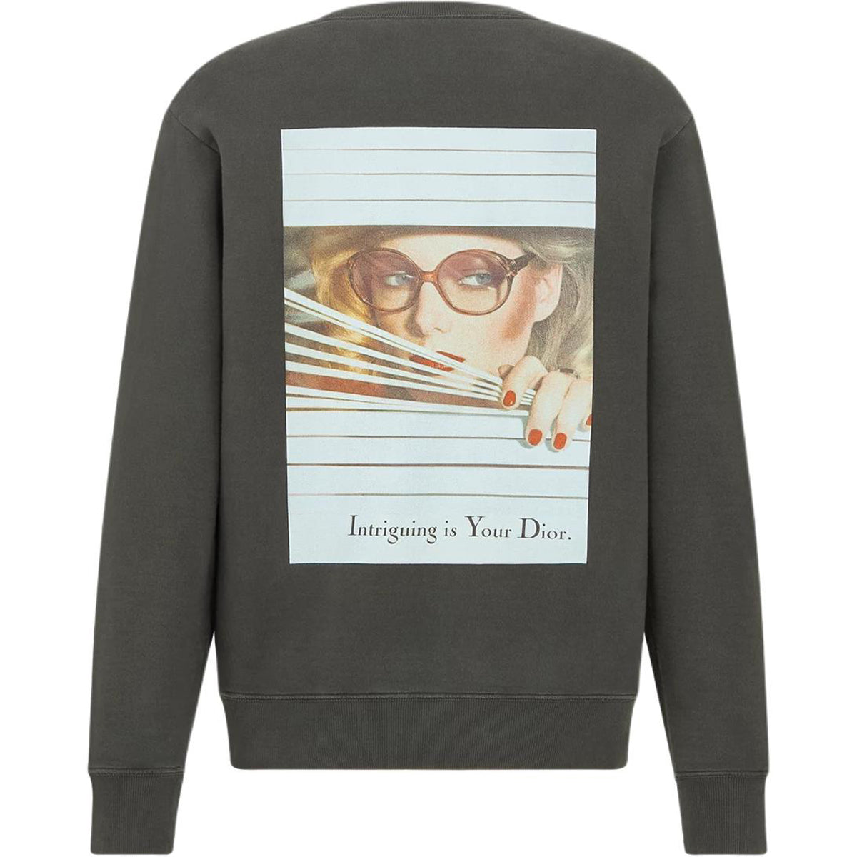 Dior FW25 Crew-Neck Sweatshirt Charcoal Gray back view