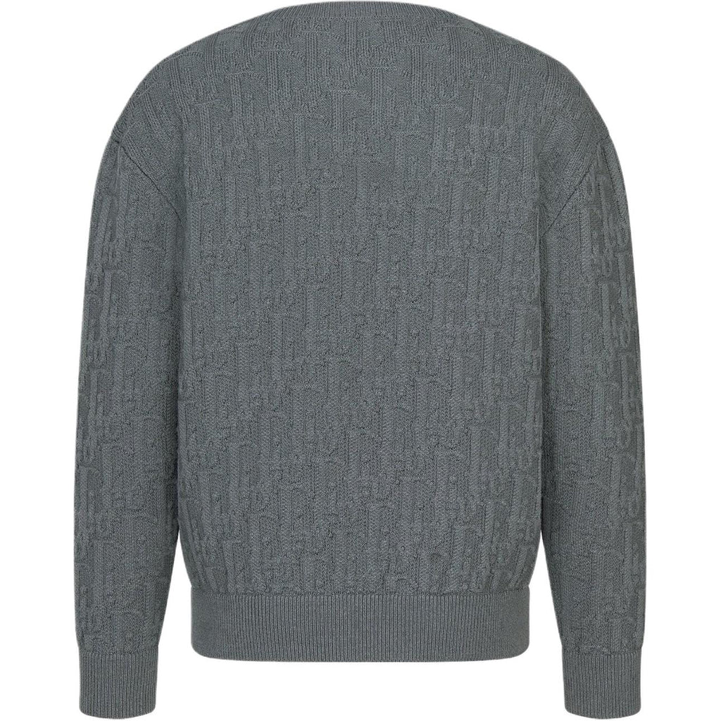 Dior SS25 Oblique Print Crew-Neck Knit Sweater Gray back view