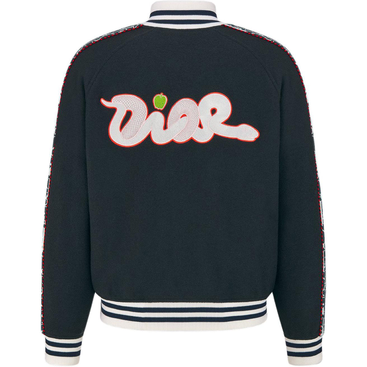 Dior KAWS Collaboration Print Striped Zip Jacket Black back view