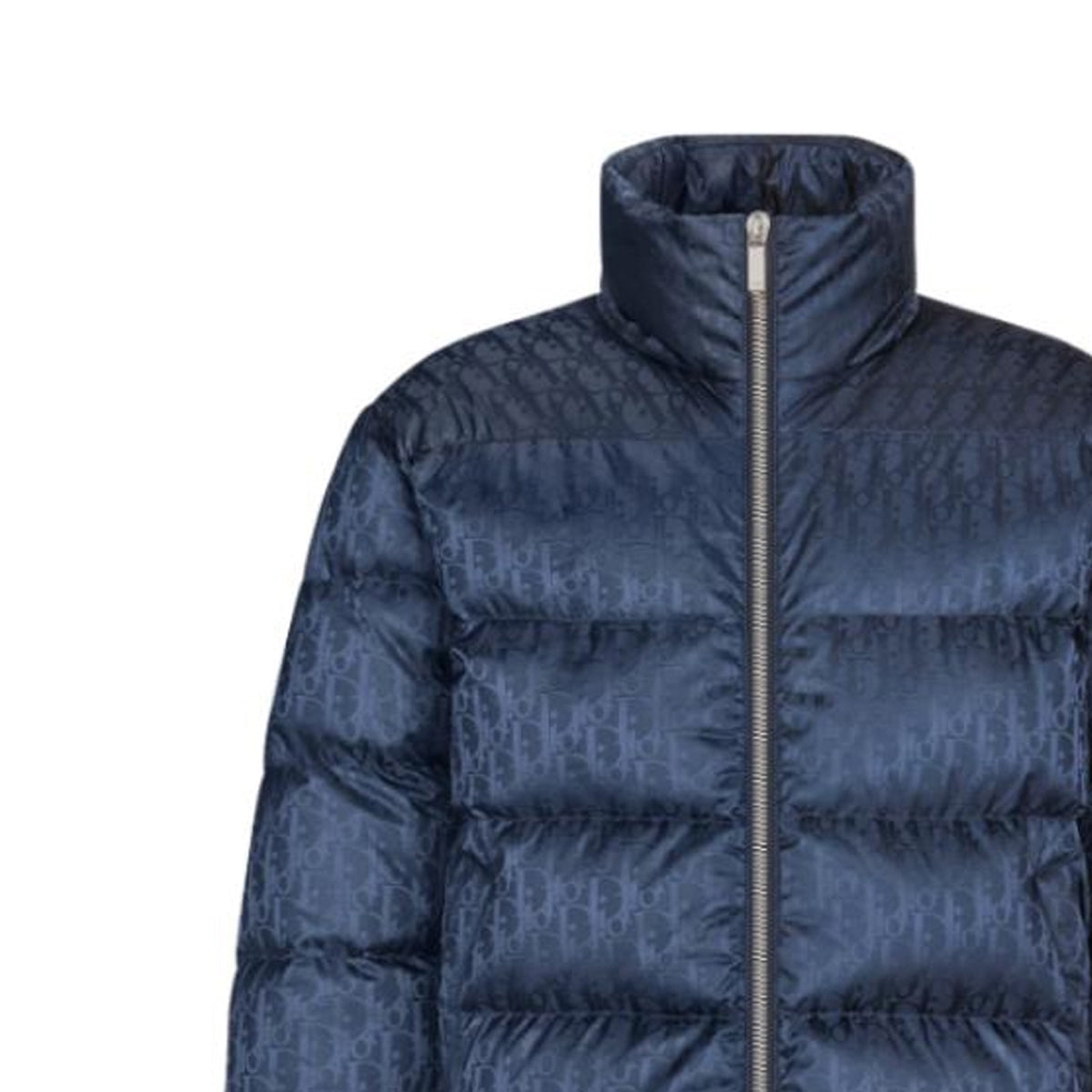 Dior FW21 Oblique Print Stand-Collar Down Jacket Navy Blue back view