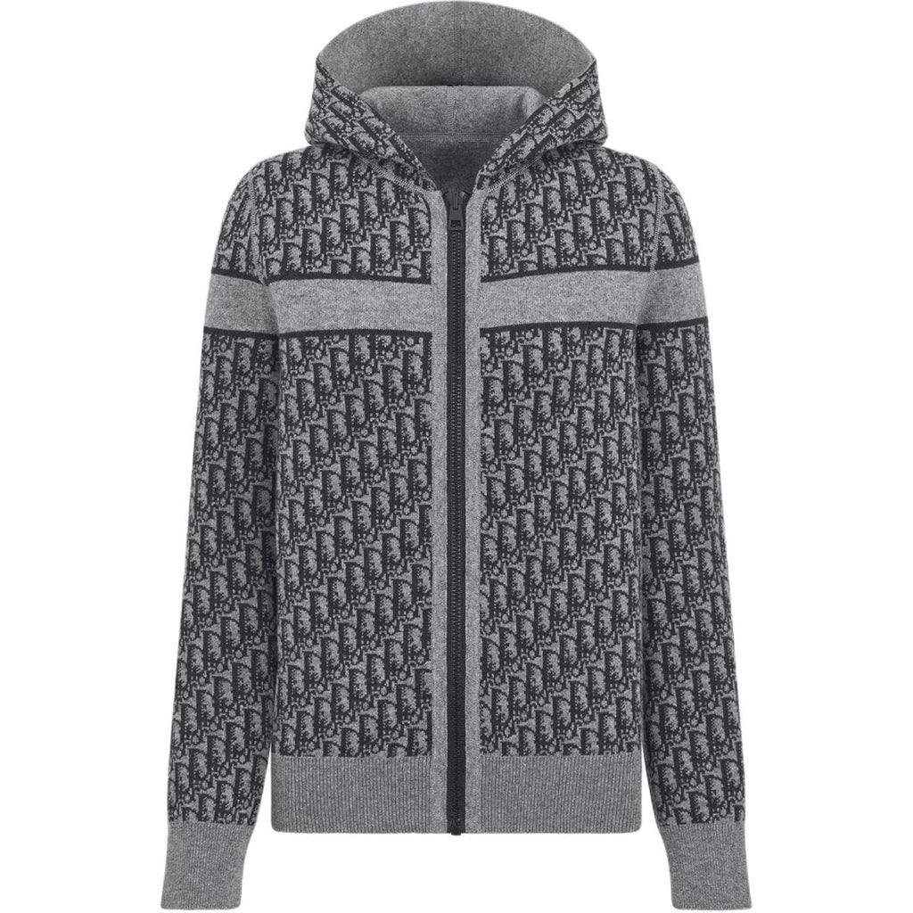 Dior FW25 Oblique Print Reversible Hooded Hoodie back view