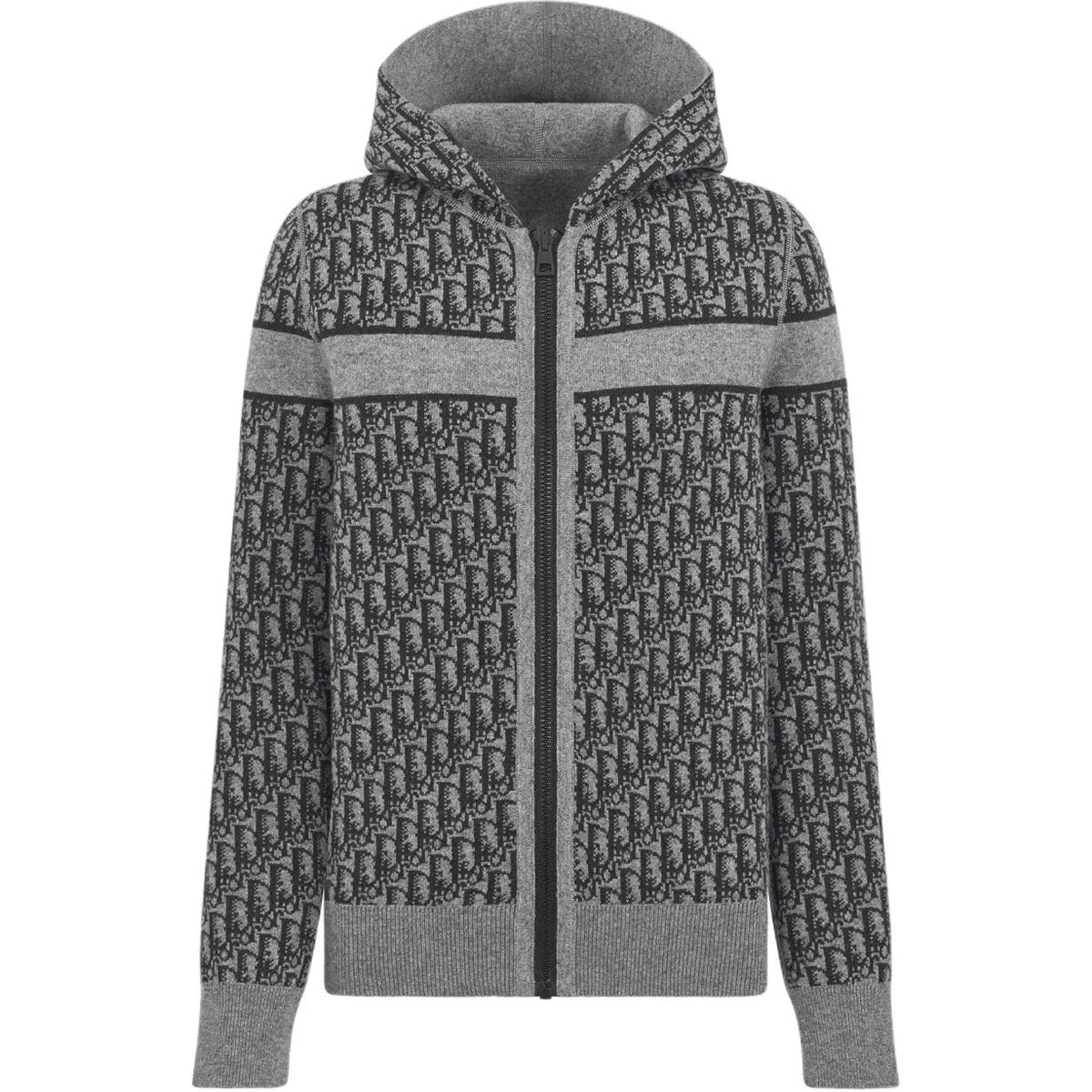 Dior FW25 Oblique Print Reversible Hooded Hoodie back view