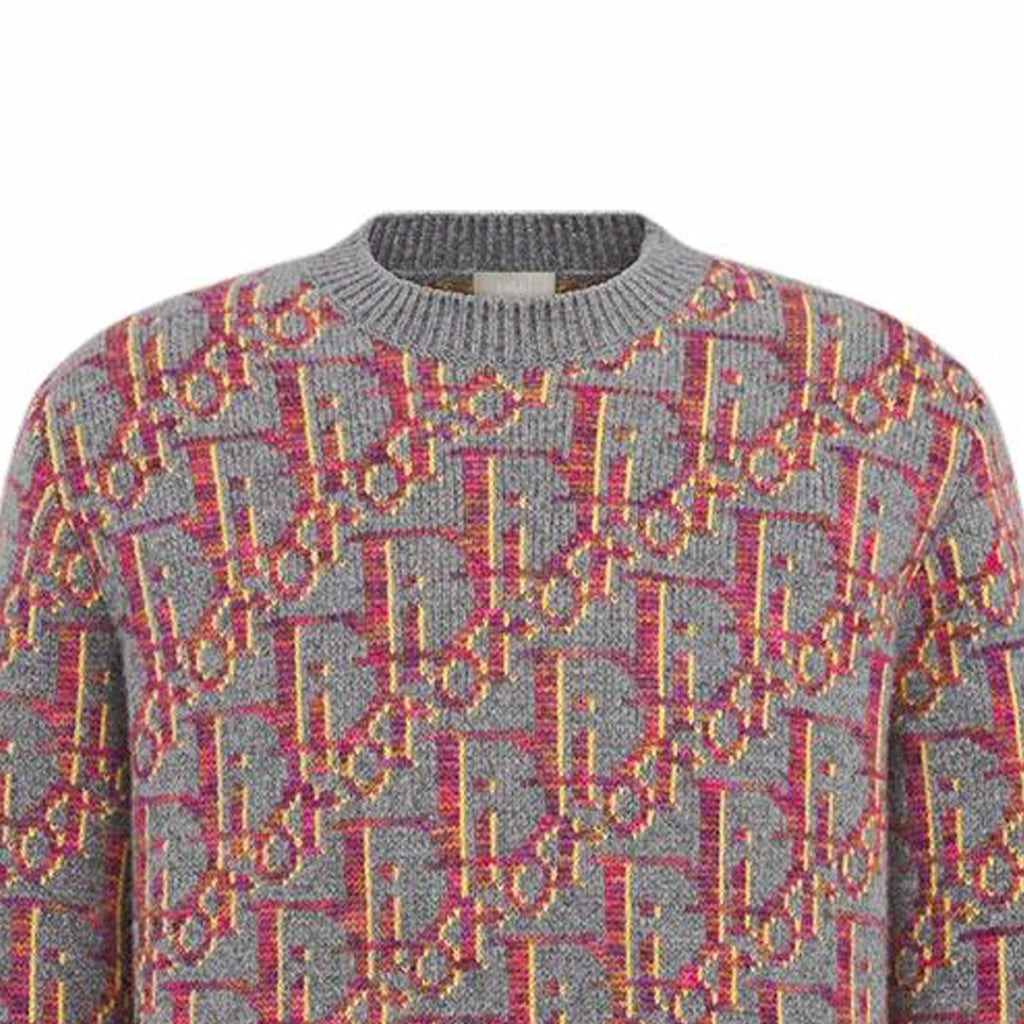 Dior SS25 Letter Logo Embroidered Crew-Neck Knit Sweater Gray back view