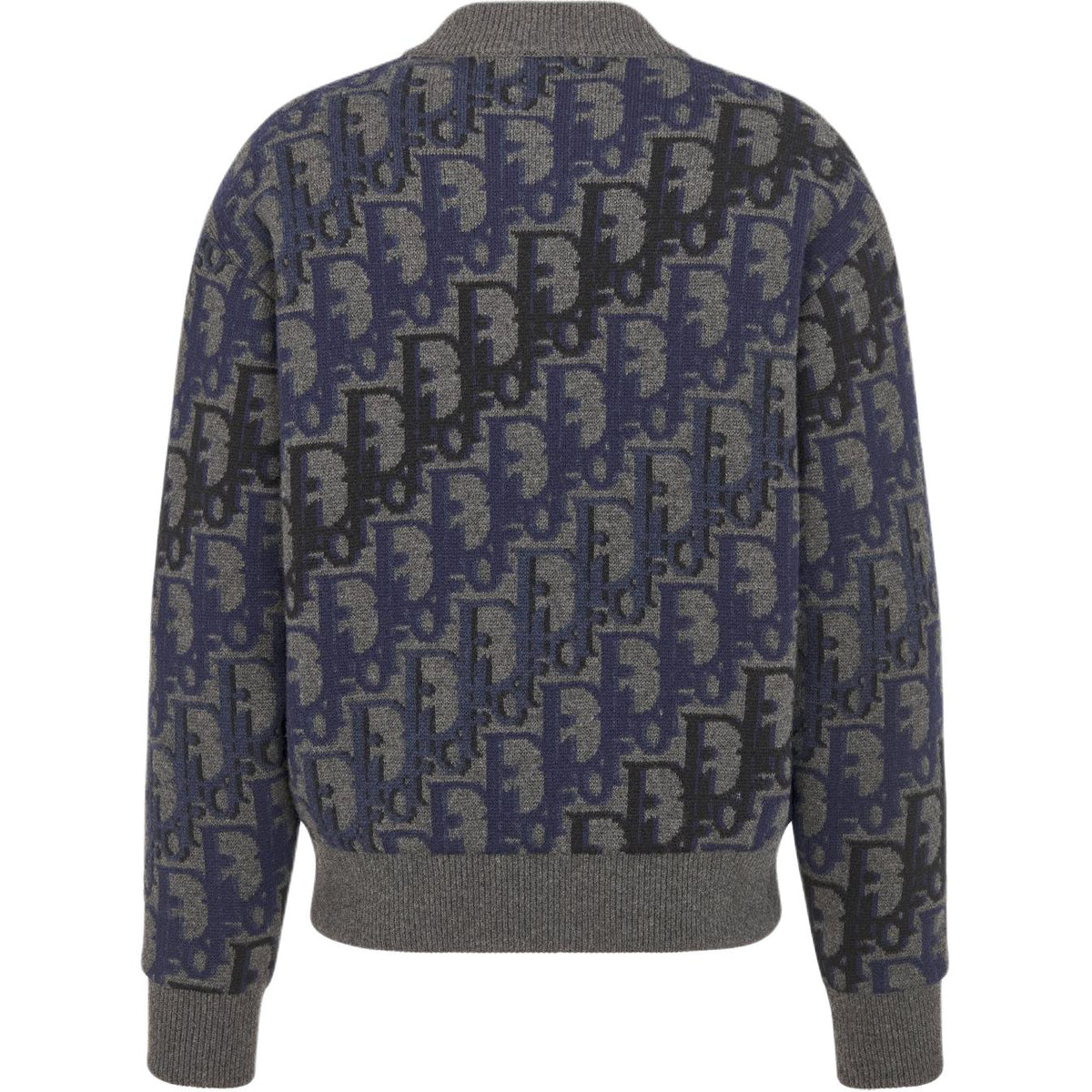 Dior SS26 Oblique Print Zip Jacket Multicolor back view