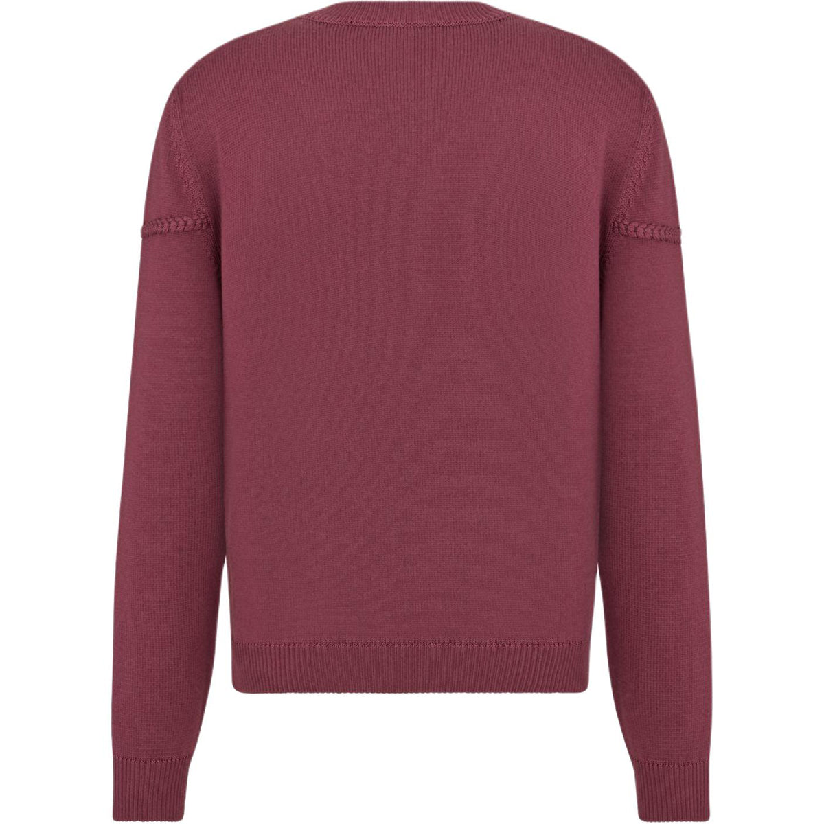 Dior SS26 Embroidered Crew-Neck Knit Sweater back view