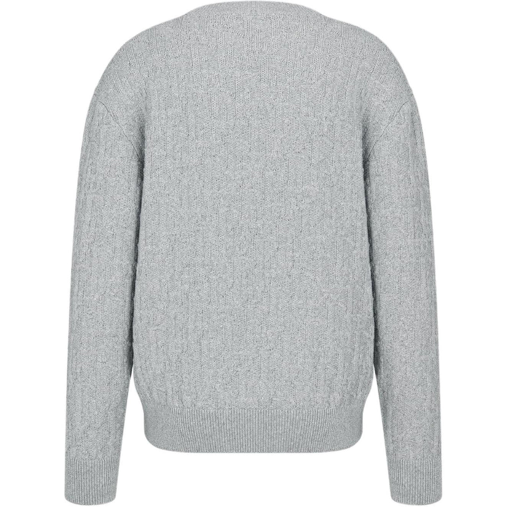 Dior FW25 Oblique Print Crew-Neck Knit Sweater Gray back view