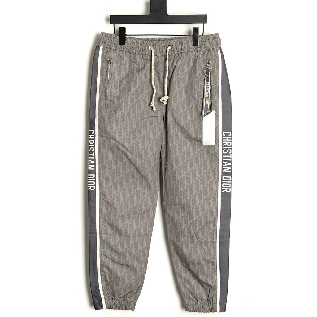 Dior Oblique Track Pants - Gray back view