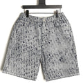 Dior Oblique Denim Shorts - Gray front view