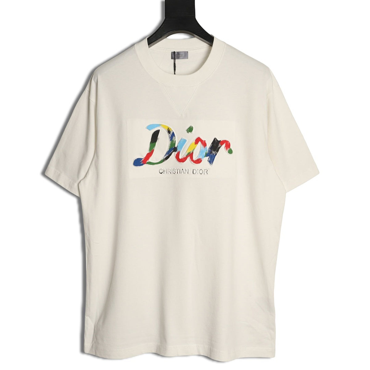 Dior Multicolor Logo T-Shirt - White back view