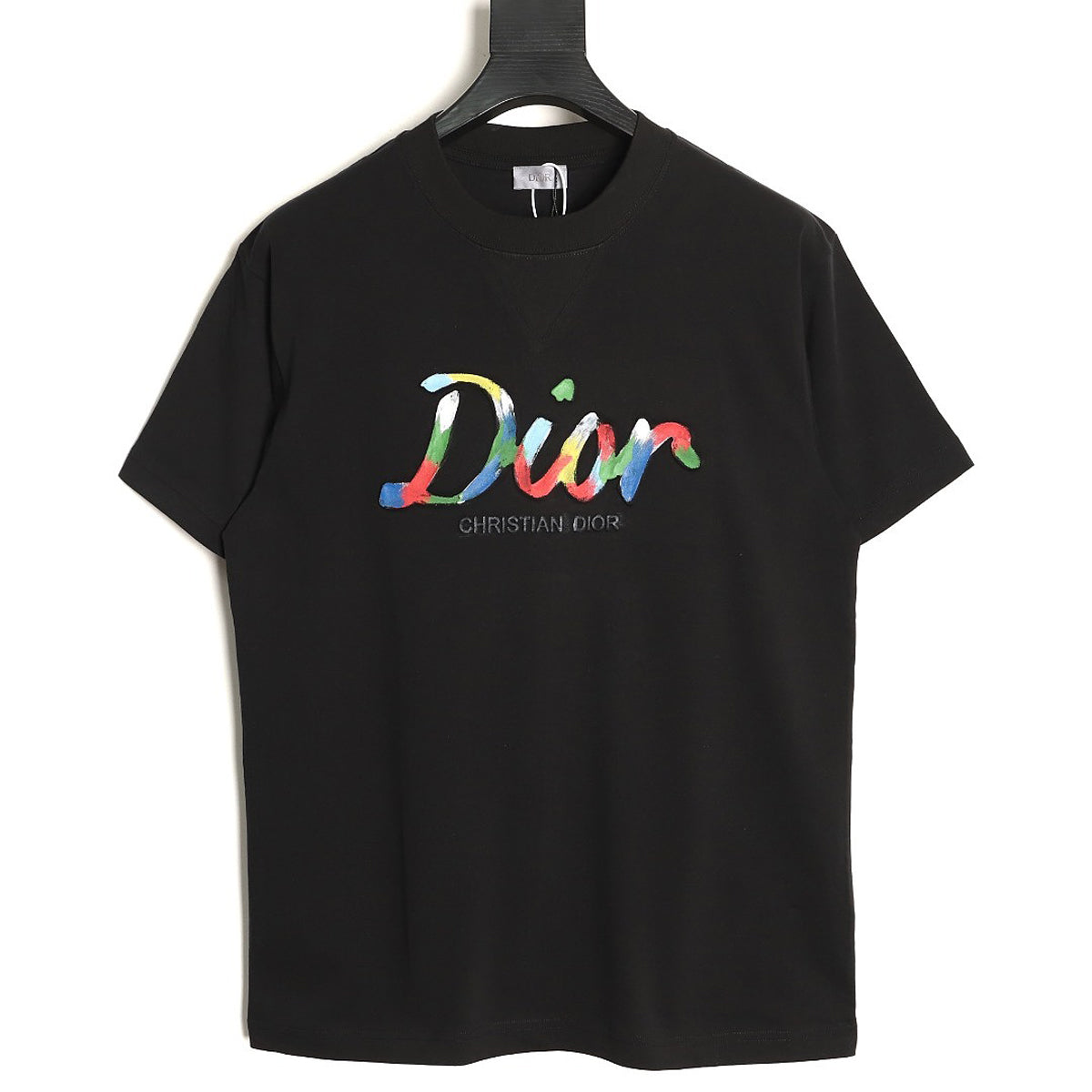 Dior Multicolor Logo T-Shirt - Black back view
